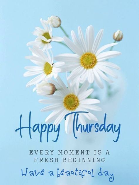 happy thursday images and quotes funny Gm Thursday, Bless Thursday, Happy Thursday Pictures, Enlightening Quotes, Thursday Morning Quotes, Happy Thursday Morning, Happy Thursday Images, Thursday Images, Thursday Greetings