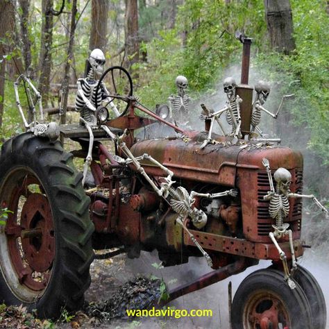 #Halloween #skeleton #tractor ride.   Great display by Powers Farm Market in Pittsford, N.Y.  http://wandavirgo.com Hayride Party, Halloween Hayride, Haunted Farm, Haunted Trail Ideas, Halloween Vacation, Spooky Woods, Chic Halloween Decor, Haunted Woods, Halloween Date