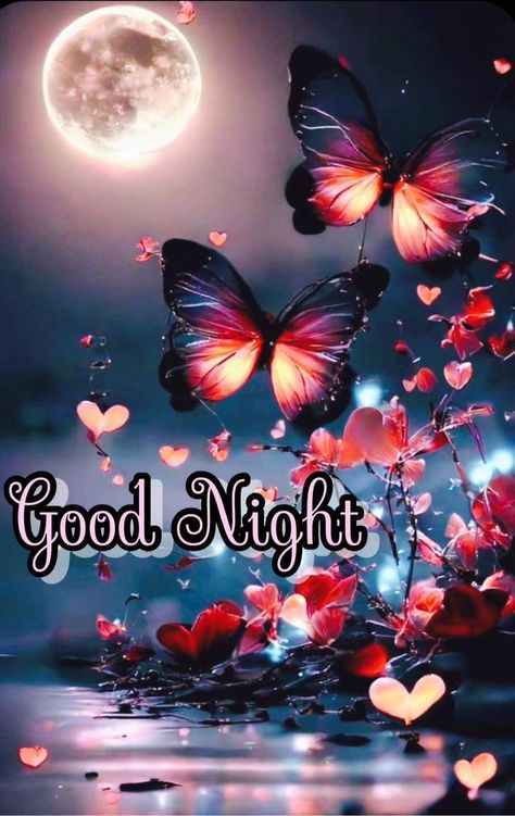 Funny Good Morning Wishes, Good Night Love You, Sweet Dreams Good Night, Beautiful Good Night Messages, Good Night For Him, Good Night Gifs, Goodnight Images, Goodnight Sweet Dreams, Goodnight Messages