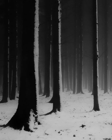 Creepy Witch, Winter Goth, Forest Walk, Creepy Christmas, Dark Christmas, I Love Winter, The Dark World, Fantasy Setting, Witch Aesthetic