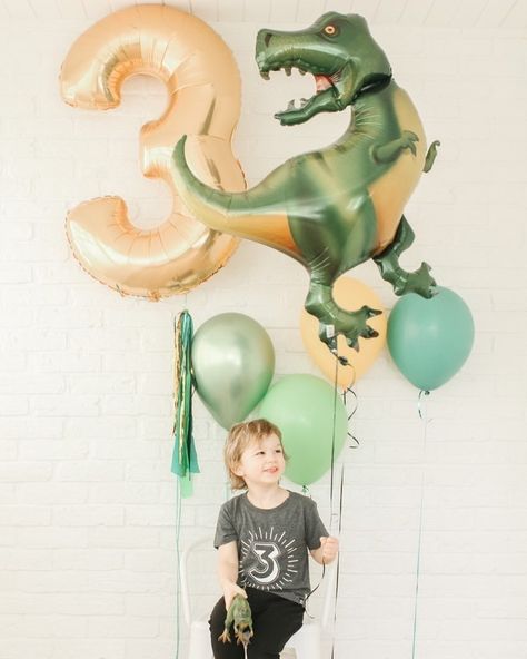 3rd Bday Party Ideas Boys, Dino Balloons, 2nd Birthday Pictures, Balloon Bar, Party Ballons, Dinosaur Balloons, Boys First Birthday Party Ideas, Dinosaur Birthday Cakes, 6 Birthday