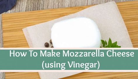 How To Make Mozzarella Cheese (With Vinegar) Mozarella Cheese Recipe, Home Made Mozzarella Cheese, Make Mozzarella Cheese, Homemade Mozzarella Cheese, Recipes With Mozzarella Cheese, Mozzerella Cheese, Cheese Recipes Homemade, Cheese Making Recipes, Farm Cheese