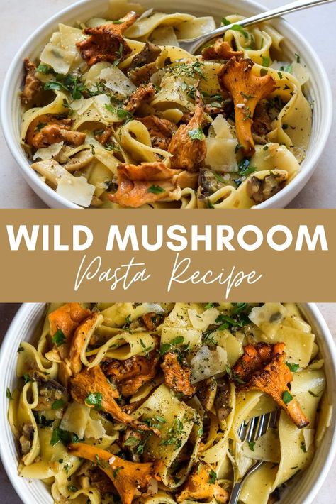 Mushroom Mix Recipe, Chestnut Mushroom Recipes Vegan, Recipes With Dried Mushrooms, Wild Chanterelle Mushroom Recipes, Chestnut Mushroom Recipes, Chantrell Mushrooms Recipes, Chanterelle Pasta, Wild Mushroom Pasta, Mushroom Pappardelle