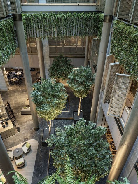 Atrium Garden Architecture, Atrium Design Architecture, Greenery Architecture, Musical Garden, Atrium Garden, Hotel Landscape, Indoor Courtyard, Atrium Design, Green Architecture