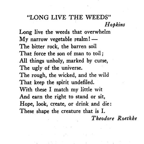 @poetryisnotaluxury on Instagram: “Long Live The Weeds by Theodore Roethke Happy #420 brah ✌” Theodore Roethke, Poet Quotes, Quotes About Everything, The Son Of Man, Long Live, Of My Life, Words Of Wisdom, Poetry, Inspirational Quotes