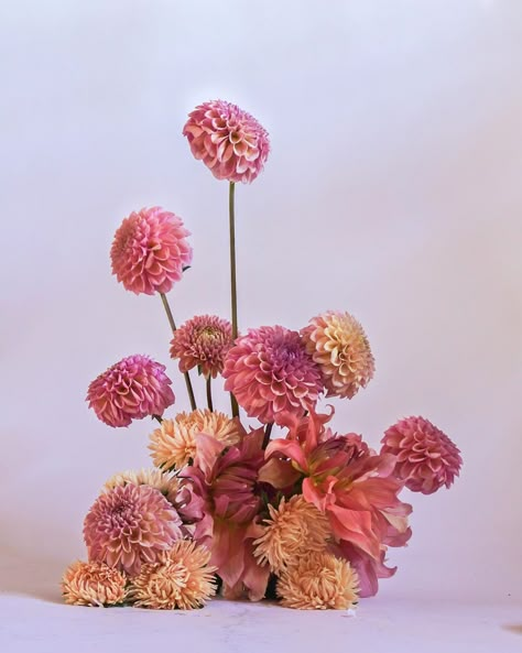 kristine ae jin FLOWERS on Instagram: “Staying indoors and creating as much as I can Hoping for rain + clear skies soon” Dahlia Table Arrangement, Cool Flower Arrangements, Abstract Floral Design, Flower Arragement, Pink Flower Arrangements, Gala Ideas, Flower Therapy, Modern Flower, Oregon Wedding