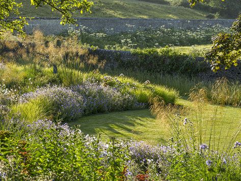 Acres Wild, Wild Gardens, Soft Landscape, Country Garden Design, Monterey Cypress, Flint Stone, Wild Meadow, Eco Garden, Desert Environment