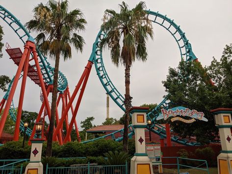 Boomerang: Coast to Coaster (Six Flags Fiesta Texas) Six Flags Texas, Six Flags Fiesta Texas, Six Flags, Amusement Parks, Roller Coaster, Theme Park, Mammals, Disneyland, Coasters