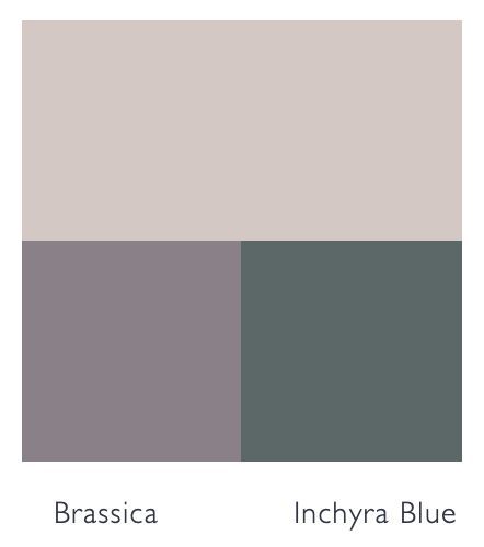 Farrow And Ball Peignoir Living Room, Farrow And Ball Brassica, Inchyra Blue Colour Scheme, Brassica Farrow And Ball, Farrow And Ball Peignoir, Farrow And Ball Bedroom, Farrow And Ball Living Room, Lounge Tv, Inchyra Blue