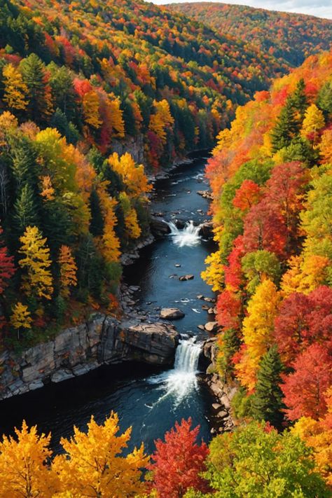 Autumn Glory: Capturing the Best Fall Foliage Spots in Upstate New York Upstate New York Fall Foliage, Fall Foliage Aesthetic, Upstate New York Fall, Fall Foliage Photography, New York In The Fall, New York Upstate, Autumn Court, Autumn Phone Wallpaper, Autumn Looks