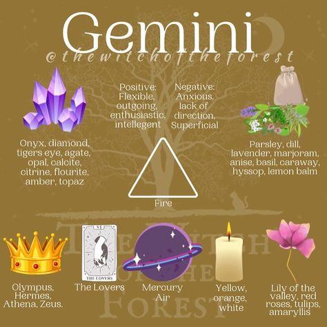 Gemini Today, All About Gemini, Zodiac Signs Elements, Gem Gem, Gemini Art, Red Amaryllis, Gemini And Scorpio, Gemini Rising, Astrology Gemini