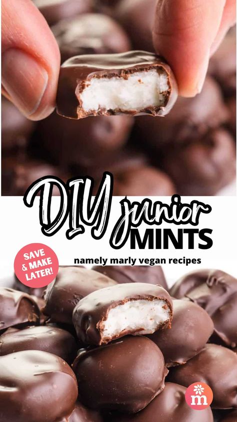 Mint Filling For Chocolates, Dairy Free Chocolate Candy, Homemade Junior Mints, Dairy Free Candy, Mint Bars, Substitute For Meat, Accidentally Vegan Foods, Junior Mint, Mint Chocolate Candy