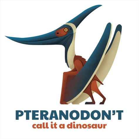 Greco Westermann on Instagram: “Pteranodon is one of the most iconic and well-known pterosaurs. And pterosaurs were not dinosaurs. . . . . . . . . . #paleoart…” Pteranodon Art, Dino Cute, Prehistoric Planet, Dinosaur Stuff, Dinosaur Sketch, Zoo Art, Dino Park, Largest Dinosaur, Dinosaur Drawing