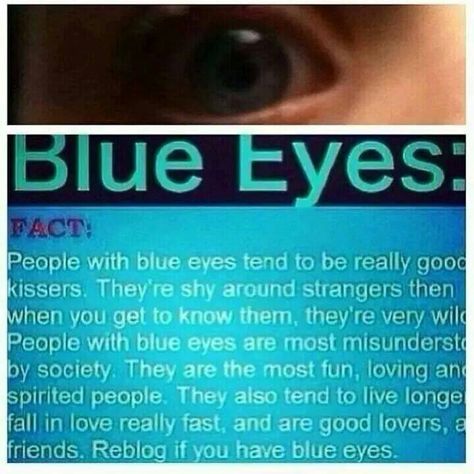 I love my eyes!! Haha this is my eyes! Blue all the way! Blue Eye Facts, Blue Eye Quotes, Eye Color Facts, People With Blue Eyes, Eye Facts, Eye Quotes, Good Kisser, Behind Blue Eyes, Psychology Facts