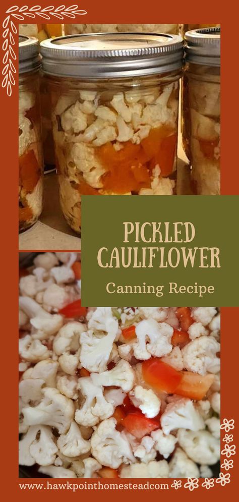 This pickled cauliflower canning recipe gives a whole new meaning to pickles! I have recently learned you can pickle so many different kinds of vegetables. Cauliflower is one of the greatest vegetable you can pickle. It turns out so tasty and still quite crisp and crunchy! Pickled cauliflower are a great addition to any appetizer spread or relish tray. Pickled cauliflower also go great added to salads and add crunchy flavor to lots of dishes, plus great just as a snack. Pickling Cauliflower Recipe, Canning Cauliflower, Pickled Recipes, Pickled Vegetables Recipe, Canned Corned Beef, Pickled Cauliflower, Canned Cranberries, Cabbage And Potatoes, Canning Recipe