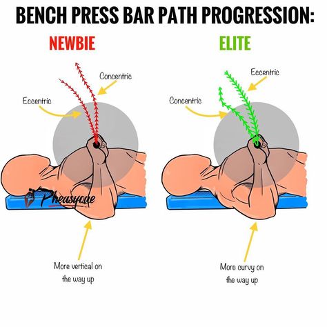 ⭕️ANALISYS OF THE BENCH BAR PAT Chest Workout Women, Fat Burning Cardio, Fitness Abs, Success Life, Workout Muscle, Ripped Abs, Gym Tips, Cardio Routine, Muscle Building Workouts