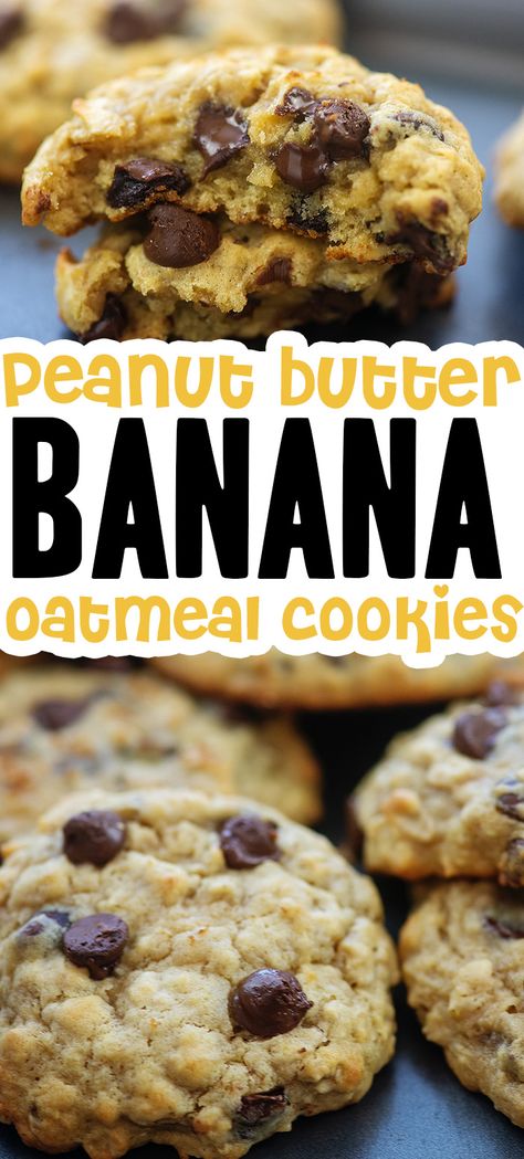 These BANANA COOKIES are loaded with peanut butter, oats, and chocolate chips! The perfect sweet treat. #banana #peanutbutter #cookies Peanut Butter Banana Oatmeal Cookies, Oats And Chocolate Chips, Oats And Chocolate, Peanut Butter Banana Oatmeal, Peanut Butter Banana Cookies, Banana Chocolate Chip Cookies, Peanut Butter Oats, Banana Oatmeal Cookies, Banana Cookies