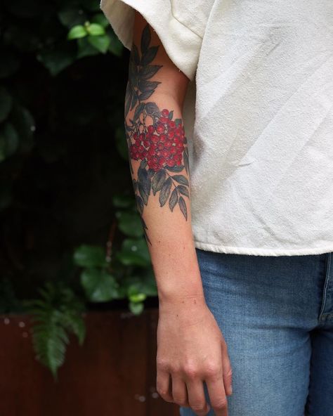 Rowan Tree Branch Tattoo, Rowan Tattoo Design, Rowan Tree Art, Rowan Branch Tattoo, Rowan Berry Tattoo, Asher Tattoo, Rowan Tree Tattoo, Rowan Tattoo, Paisley Tattoo Design