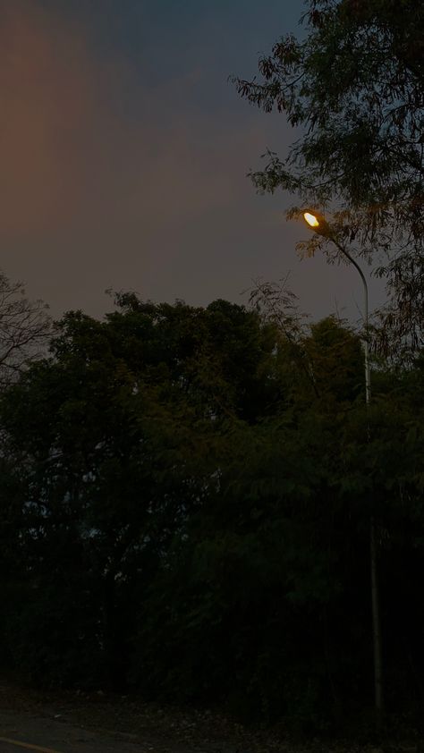 #evening #road #trees #lights #nature #night #sky Evening Night Sky, Night Tree Snap, Evening Sky Snap, Road Lights Night, Night Road Snap, Night Walking Aesthetic, Calm Place, Nature Photography Quotes, Chill Wallpaper