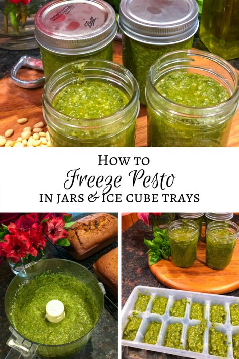 How to Freeze Pesto Frozen Pesto Recipe, Freezer Pesto Recipe, Canned Pesto Recipe, Canning Pesto, Best Pesto Recipe, Ingredient Prep, Best Pesto, Freezing Pesto, Sunshine On A Rainy Day