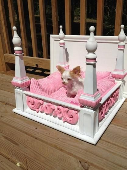 Coffee Table Dog Bed, Creative Dog Bed, Fancy Dog Beds, Princess Dog Bed, Dog Bedroom, Diy Pet Bed, Clever Dog, Dog House Diy, Diy Dog Bed