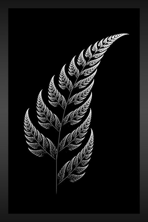 silverfern New Zealand Tattoo, Fern Tattoo, Maori Tattoos, Key Tattoos, Marquesan Tattoos, Maori Tattoo Designs, Samoan Tattoo, Nz Art, Theme Tattoo