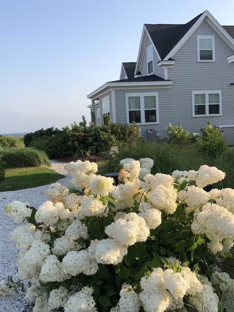 Nantucket Aesthetic, Cape Cod Aesthetic, East Coast Aesthetic, Kimberly Scott, Hamptons Aesthetic, Summer Beach House, Hamptons Summer, Dream Beach Houses, Cape House