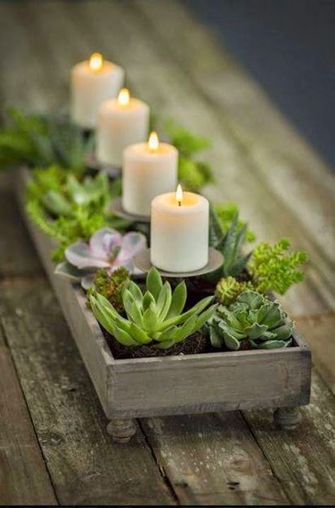 Succulents ~ CP with candle holders and succulents contained in an old wooden box. Candle Decorations, Candle Centerpiece, نباتات منزلية, Tafel Decor, Deco Nature, Water Gardens, בר מצווה, Simply White, Nordic Christmas