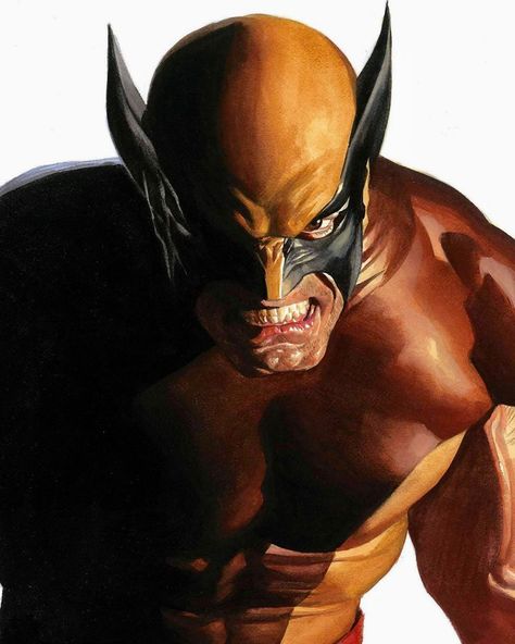 Ghost Rider Images, Wolverine Artwork, Marvel Books, Wolverine Art, Marvel Characters Art, Logan Wolverine, Alex Ross, Marvel Comic Universe, Uncanny X-men