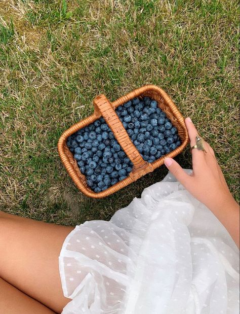 Blueberry Picking, Spring Afternoon, Spring Semester, Spring Inspo, Summer Activity, Spring Girl, Spring Mood, Spring Photography, Spring Activities