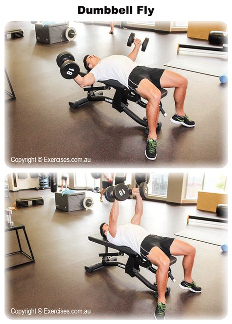 Dumbbell flys are a great exercise to include as part of your overall chest or upper body workout routine and can be done in a gym or in your own home gym as well.  It’ll only require a flat bench along with a set of dumbbells, so it’s a relatively simple and straightforward exercise to perform.  Watch a demo... https://www.exercises.com.au/dumbbell-flys/ Spider Curls, Upper Body Hiit Workouts, Upper Body Workout Routine, Body Workout Routine, Beginner Fitness, Bodybuilding Routines, Weight Routine, Weight Training Routine, Bench Workout