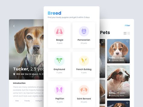 Pet Finder Mobile Application by Mahesh Kantariya Pet Finder, Mobile Application Design, Mobile App Ui, Application Design, App Ui Design, San Rafael, Show And Tell, Mobile Application, Smart Home