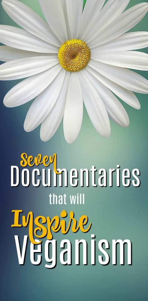 Vegan Documentaries, Romcom Movies, Start A Healthy Lifestyle, Make A Boat, Vegan Memes, Being Vegan, Reverse Aging, Small Business Online, A Life Well Lived