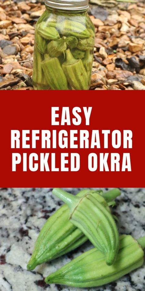 Quick Okra Pickle, Refrigerator Okra Pickles, Refrigerated Pickled Okra, Pickle Okra Recipe Easy, Pickles Okra Recipe, Okra Pickles Recipe, How To Pickle Okra Easy, Picked Okra Recipe, How To Make Pickled Okra