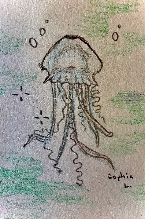 mini jellyfish pencil drawing for sketchbooks Drawings Of The Ocean, Ocean Pencil Drawing, Ocean Sketch Simple, Simple Jellyfish Drawing, Jelly Fish Drawing Sketches, Cute Sea Animals Drawing, Jellyfish Drawing Simple, Sea Sketches, Simple Animal Drawings