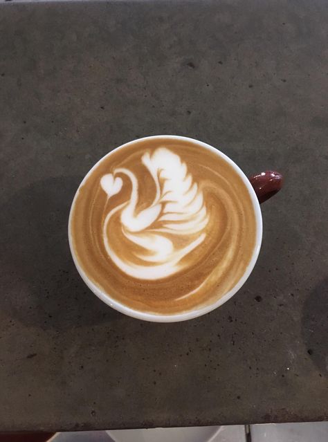 Swan Latte Art, Espresso Photography, Coffee Latte Art, Coffee Facts, Coffee Bean Grinder, Cappuccino Machine, Coffee Obsession, Coffee Pictures, Cafe Latte