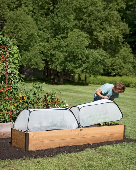 Gardening Supplies, Raised Beds, Pots, Planters, Tools + More Garden Cloche, Greenhouse Fabrics, Row Covers, Survival Gardening, Vegetable Storage, Plant Covers, Garden Types, Mini Greenhouse, Plant Protection