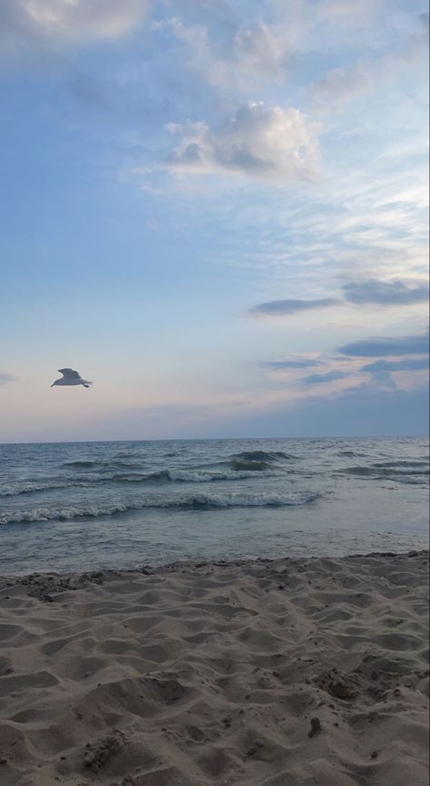 Beach, sand, sunset, seagull, sky, waves, clouds, water, lake, michigan Beach Sky, Beach Sand, Lake Michigan, Michigan, Lake, Water