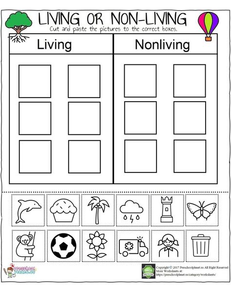 1st Grade Worksheets Science, Science Worksheets For Kindergarten, Ant Craft, Kindergarten Science Lessons, Kindergarten Science Activities, Kids Bulletin Boards, Living And Nonliving, Back To School Worksheets, Sequencing Worksheets