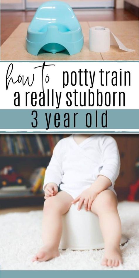 Best Potty Training Seat, Early Potty Training, Potty Training Methods, Potty Training Books, Boys Potty, Potty Training Rewards, Best Potty, How To Potty Train, Potty Training Girls