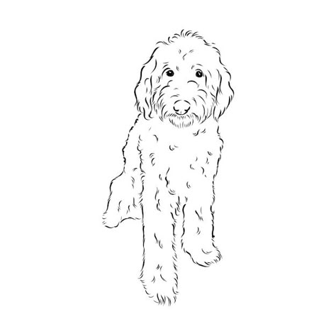 Goldendoodle Line Drawing, Labradoodle Drawing Easy, Dog Stencil Tattoo, Labradoodle Embroidery, Goldendoodle Tattoo Outline, Golden Doodle Outline, Goldendoodle Outline, Doodle Dog Tattoo, Golden Doodle Tattoo