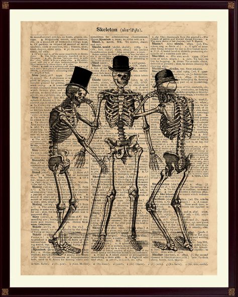 Vintage Skeleton Illustration, Human Anatomy Vintage, Anatomy Vintage, Anatomy Prints, Wall Art Cool, Cool Skeleton, Skeleton Illustration, Vintage Skeleton, Dictionary Page