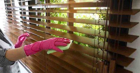 The Best Methods for Cleaning Wooden Blinds (Step-by-Step) - NewsBreak Wooden Slat Blinds, Cleaning Wood Blinds, Clean Window Blinds, Types Of Cooking Oil, Hard Water Spots, Wood Cleaner, Cleaning Blinds, Faux Wood Blinds, Teak Oil