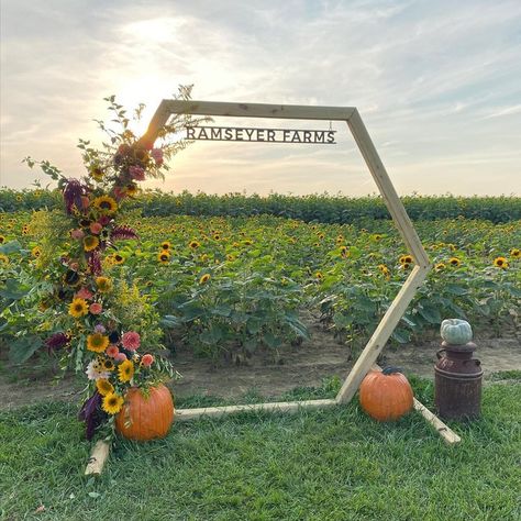 Sunflower Tent, Farm Fall Decor, Sunflower Patch Garden, Pumpkin Festival Decorations, Sunflower Field Photoshoot Poses, Agritourism Ideas, U Pick Flower Farm Ideas, Farm Events Ideas, Fall Farm Stand