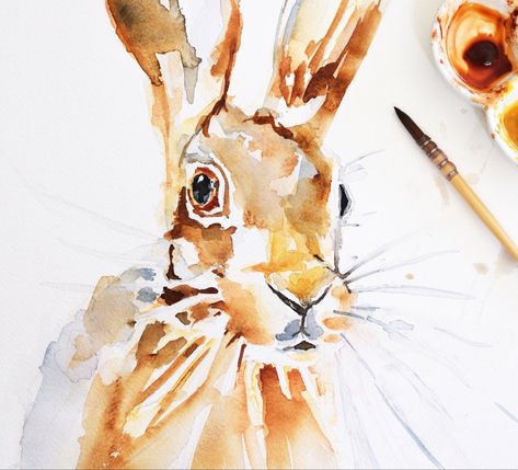 Loose Watercolor Animals, Watercolour Bunnies, Hare Sketch, Sketchbook Tutorial, Watercolour Pens, Hare Watercolour, Loose Watercolour, Watercolor Pencil Art, Hare Painting