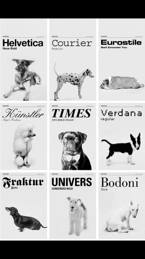 Pet Branding, Dog Magazine, Typography Images, 강아지 그림, Dog Branding, Dog Search, Poster Design Inspiration, Comic Sans, Dog Photography