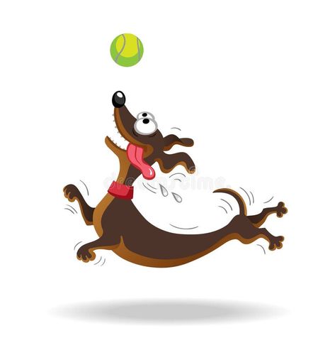 Dachshund dog playing with tennis ball. vector illustration Ball Vector, Dog Playing, Ball Drawing, Puppy Play, Dachshund Puppies, Book Quilt, 2d Animation, Dog Drawing, Tennis Ball