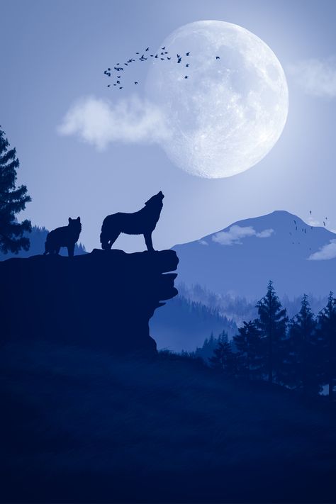 Capture the mystical allure of the wild with this stunning 2D poster. Adorn your space with the mesmerizing silhouette of a howling wolf against a moonlit backdrop. Wolf Howling Drawing, Wolf Landscape, Howling Wolf Silhouette, Wolf Walking, House Of Wolves, Wolf Howling At The Moon, Majestic Wolf, Wolf Poster, Howling At The Moon