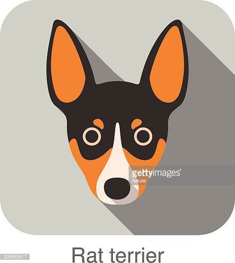 Rat Terrier Dogs Drawings, Rat Terrier Art, Dog Line Drawing, Rat Dog, Rat Terrier Dogs, Dog Drawings, Min Pins, Adorable Creatures, Jack Russell Dogs