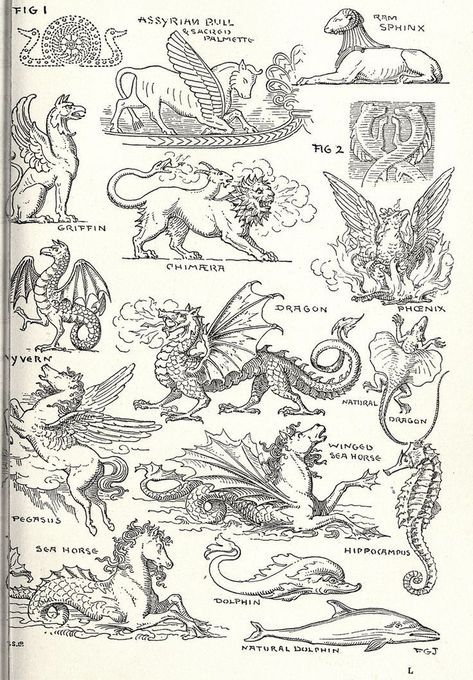 Woodcut Tattoo, Medieval Drawings, Medieval Tattoo, Medieval Dragon, Ancient Drawings, Medieval Artwork, Occult Art, Arte Inspo, Mythological Creatures